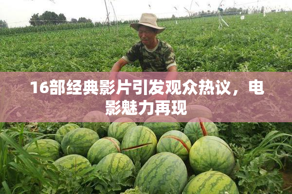 16部经典影片引发观众热议，电影魅力再现