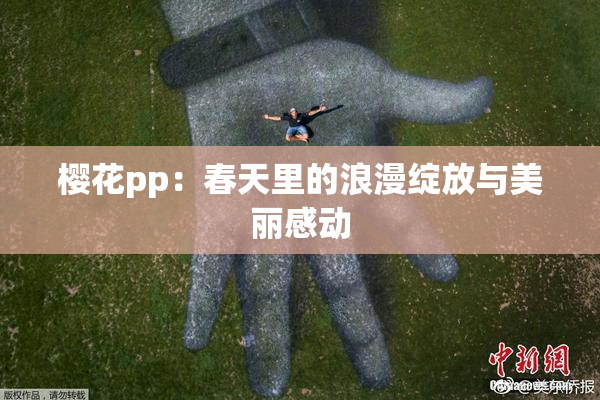 樱花pp：春天里的浪漫绽放与美丽感动