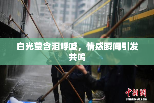 白光莹含泪呼喊，情感瞬间引发共鸣