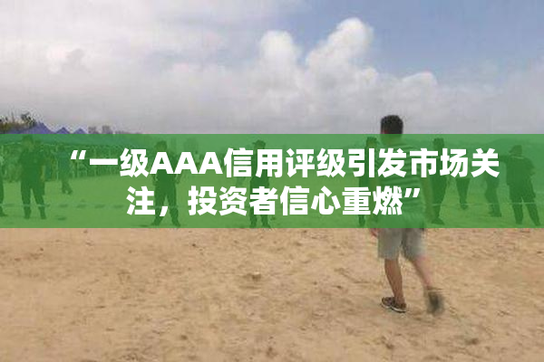 “一级AAA信用评级引发市场关注，投资者信心重燃”