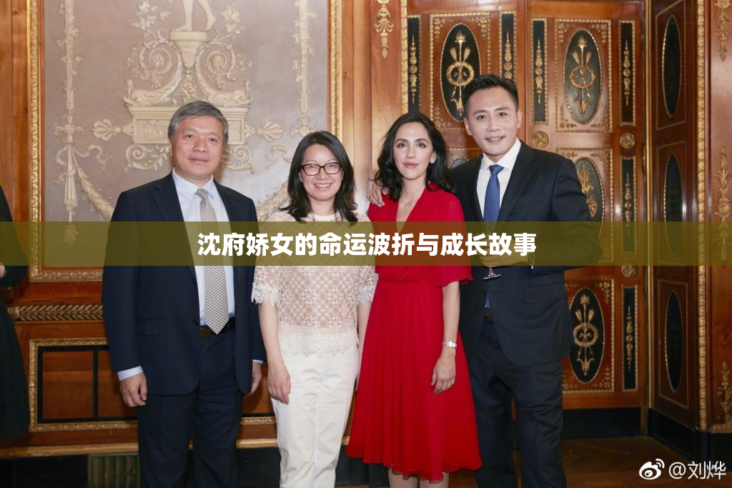 沈府娇女的命运波折与成长故事