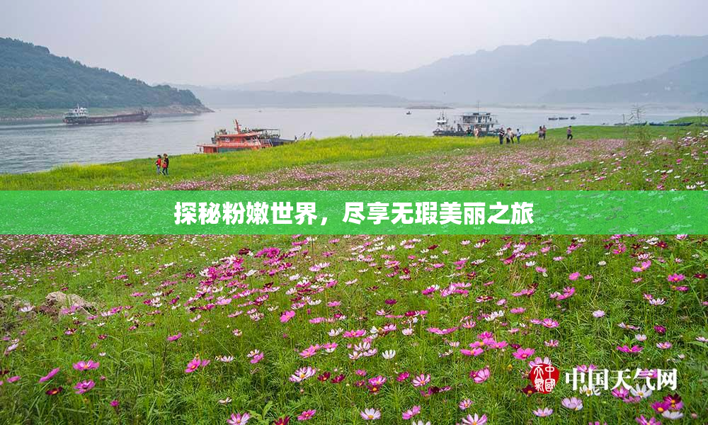 探秘粉嫩世界，尽享无瑕美丽之旅