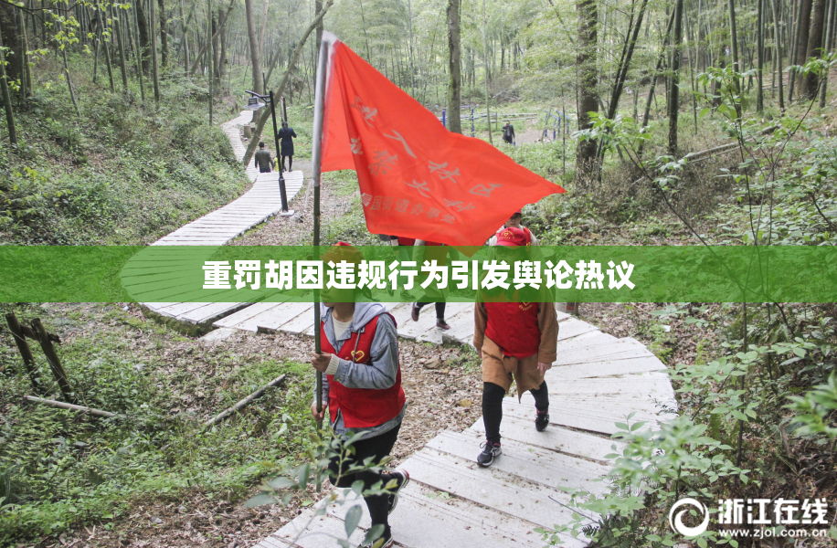 重罚胡因违规行为引发舆论热议