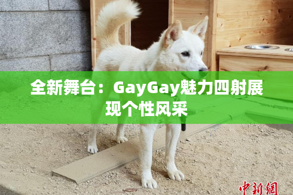 全新舞台：GayGay魅力四射展现个性风采