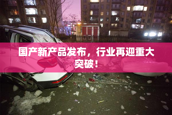 国产新产品发布，行业再迎重大突破！