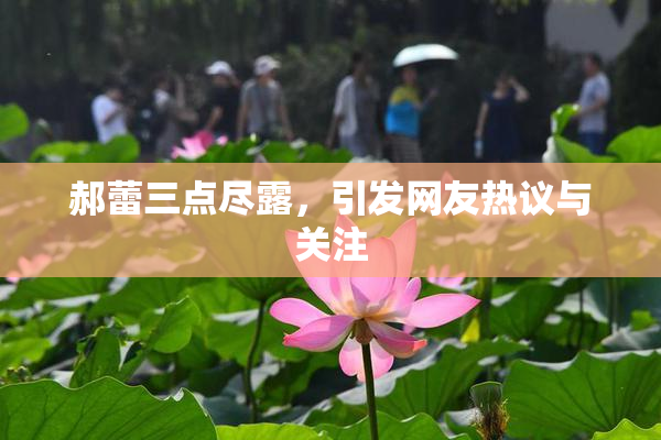 郝蕾三点尽露，引发网友热议与关注
