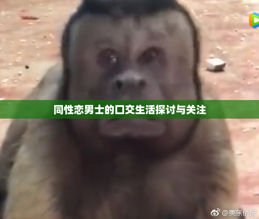 同性恋男士的囗交生活探讨与关注