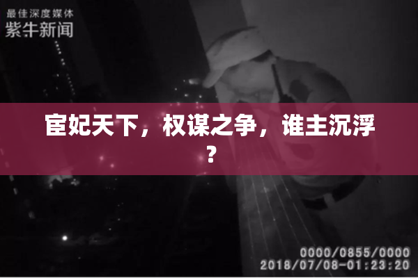 宦妃天下，权谋之争，谁主沉浮？