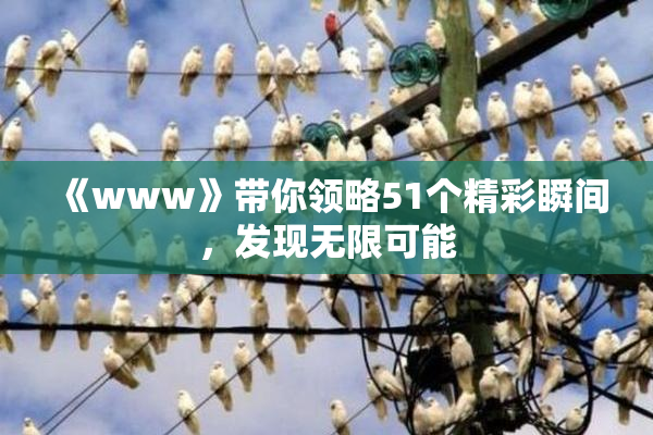 《www》带你领略51个精彩瞬间，发现无限可能