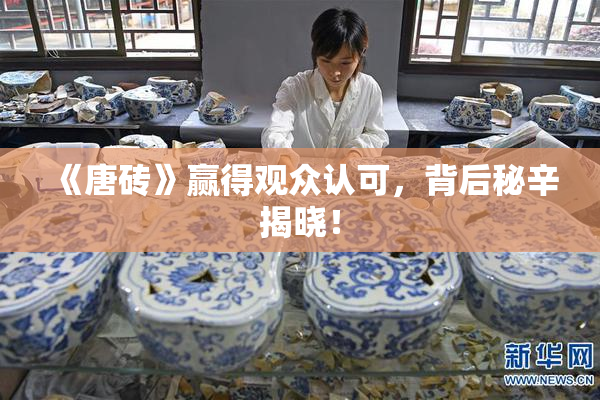 《唐砖》赢得观众认可，背后秘辛揭晓！