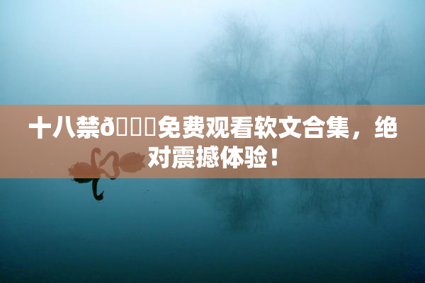 十八禁🔞免费观看软文合集，绝对震撼体验！