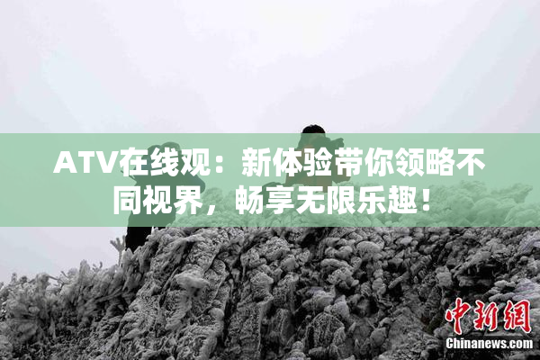 ATV在线观：新体验带你领略不同视界，畅享无限乐趣！