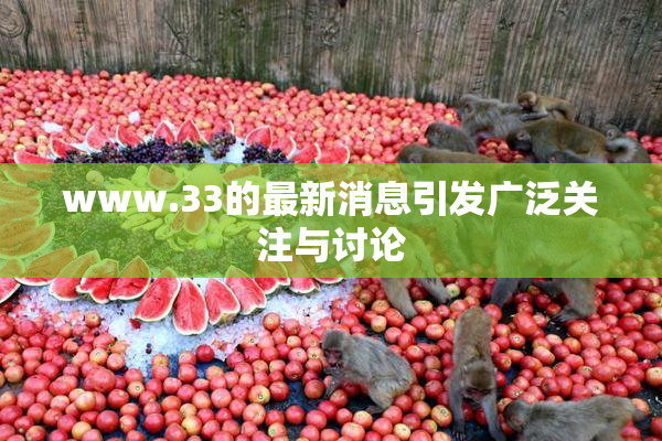 www.33的最新消息引发广泛关注与讨论