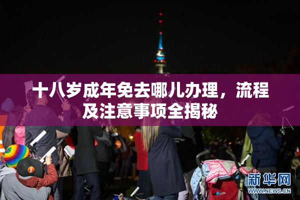 十八岁成年免去哪儿办理，流程及注意事项全揭秘