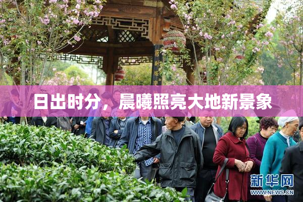 日出时分，晨曦照亮大地新景象