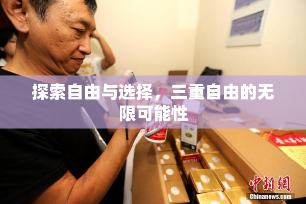 探索自由与选择，三重自由的无限可能性
