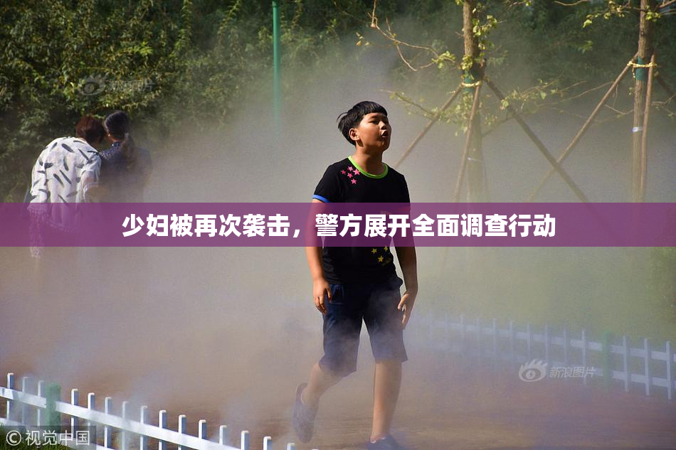 少妇被再次袭击，警方展开全面调查行动