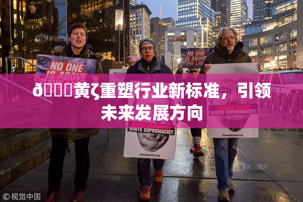 🔞黄ζ重塑行业新标准，引领未来发展方向