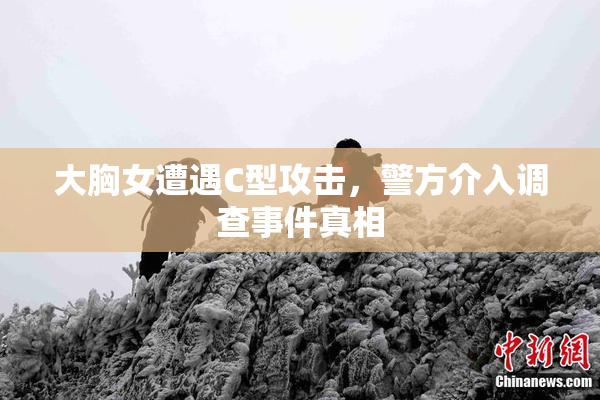 大胸女遭遇C型攻击，警方介入调查事件真相