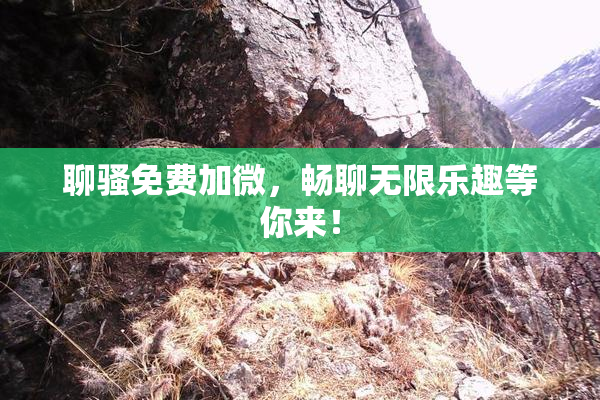 聊骚免费加微，畅聊无限乐趣等你来！