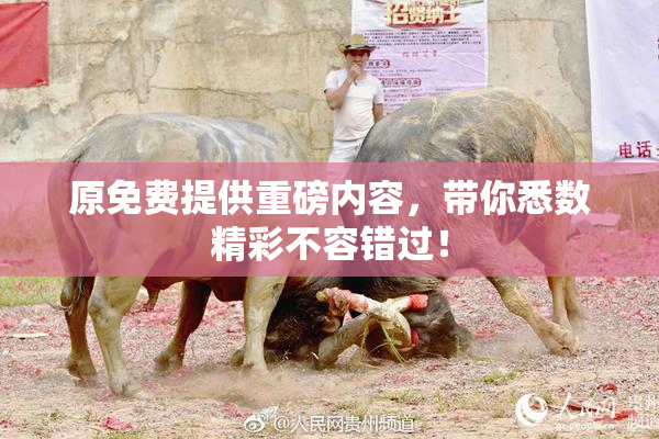 原免费提供重磅内容，带你悉数精彩不容错过！