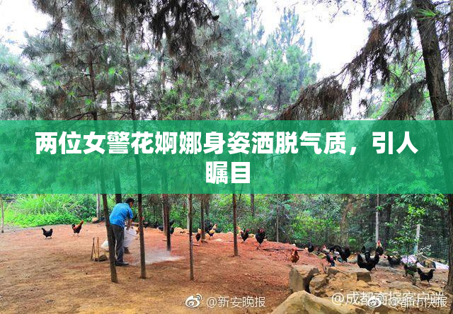 两位女警花婀娜身姿洒脱气质，引人瞩目