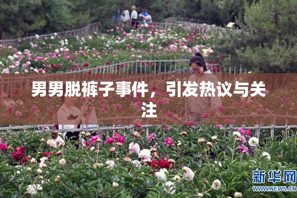 男男脱裤子事件，引发热议与关注