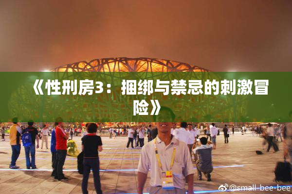 《性刑房3：捆绑与禁忌的刺激冒险》