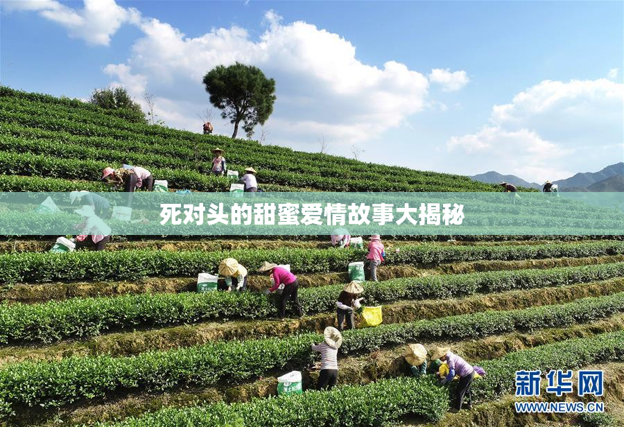 死对头的甜蜜爱情故事大揭秘