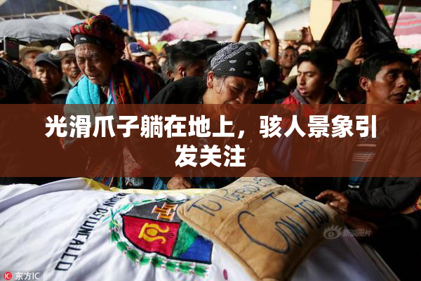 光滑爪子躺在地上，骇人景象引发关注