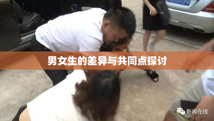 男女生的差异与共同点探讨