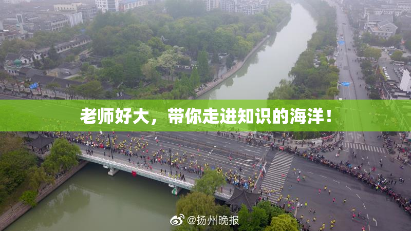 老师好大，带你走进知识的海洋！