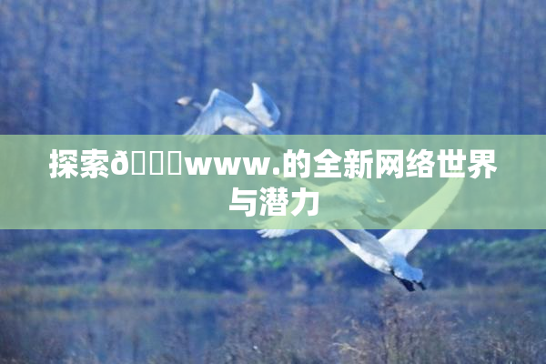 探索🔞www.的全新网络世界与潜力
