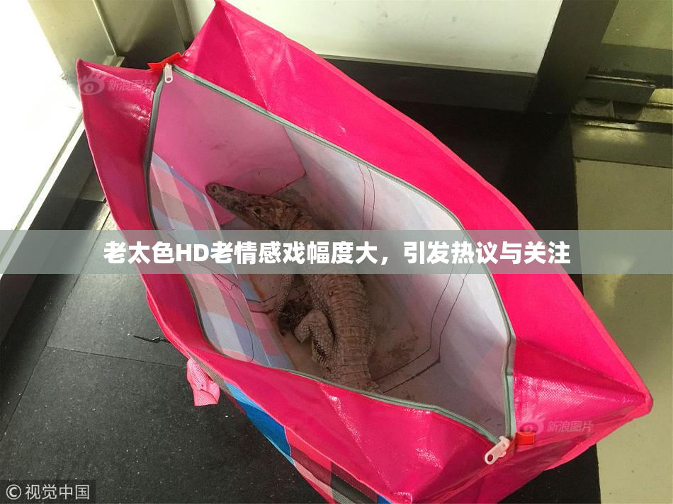 老太色HD老情感戏幅度大，引发热议与关注