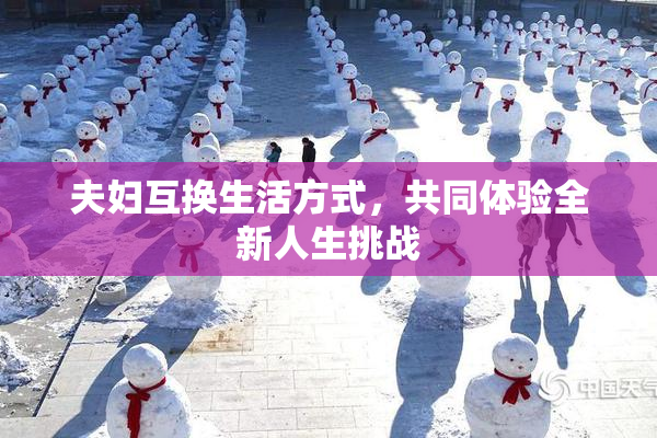 夫妇互换生活方式，共同体验全新人生挑战