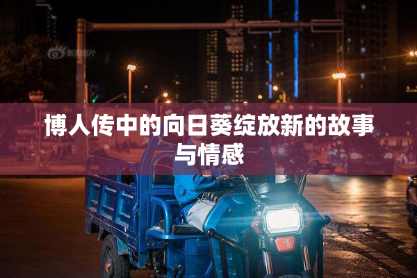 博人传中的向日葵绽放新的故事与情感