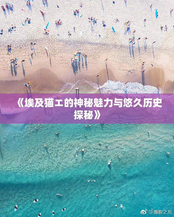 《埃及猫エ的神秘魅力与悠久历史探秘》