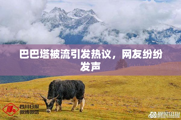巴巴塔被流引发热议，网友纷纷发声