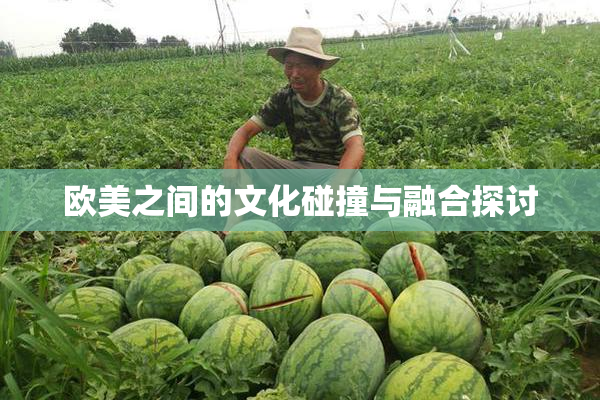 欧美之间的文化碰撞与融合探讨