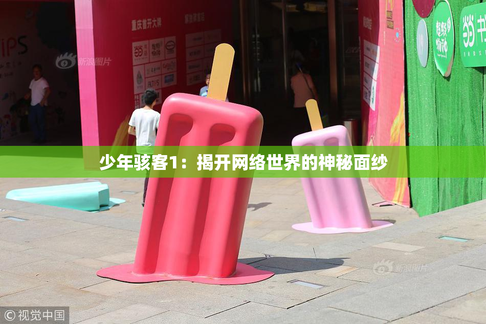 少年骇客1：揭开网络世界的神秘面纱