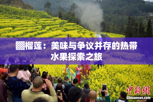 ▓榴莲：美味与争议并存的热带水果探索之旅