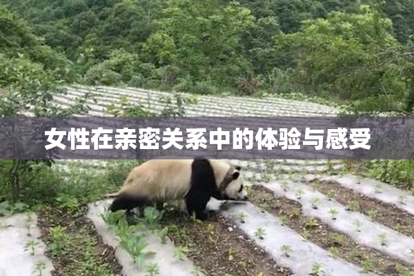 女性在亲密关系中的体验与感受