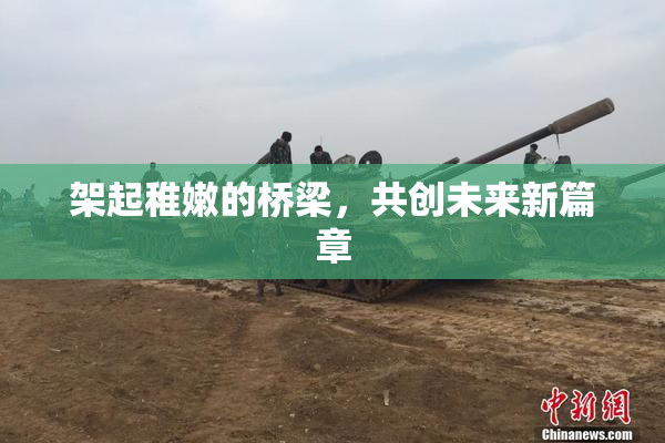 架起稚嫩的桥梁，共创未来新篇章