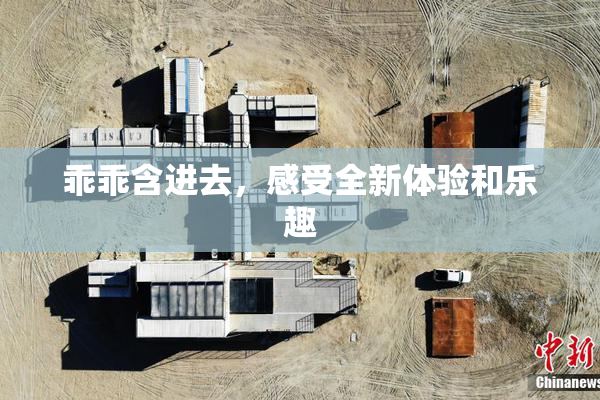 乖乖含进去，感受全新体验和乐趣