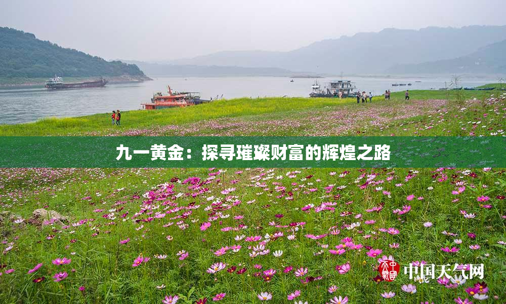 九一黄金：探寻璀璨财富的辉煌之路