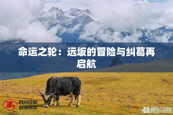 命运之轮：远坂的冒险与纠葛再启航