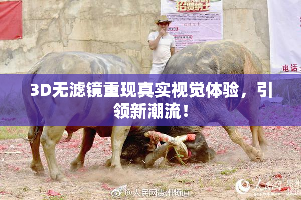 3D无滤镜重现真实视觉体验，引领新潮流！