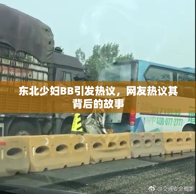 东北少妇BB引发热议，网友热议其背后的故事