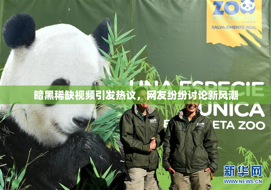 暗黑稀缺视频引发热议，网友纷纷讨论新风潮