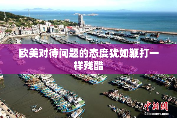 欧美对待问题的态度犹如鞭打一样残酷